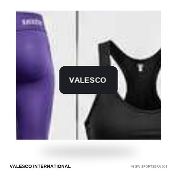 Core Sports Bra